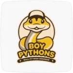 Boy Pyrthons